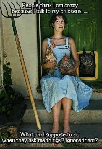 70383233_10217875243666541_3299467952088154112_n