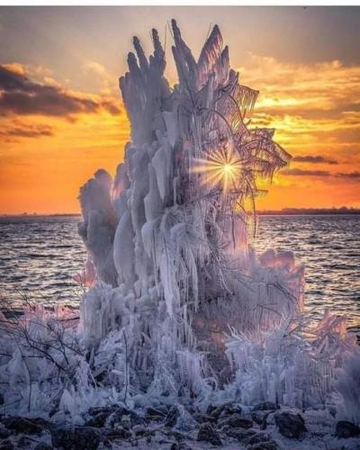 174085051_1847618458737691_2696498320325163927_n