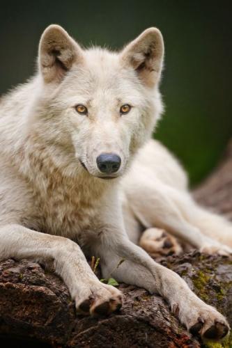 1bb54241943bd9a46fd20b4b83a9fd25