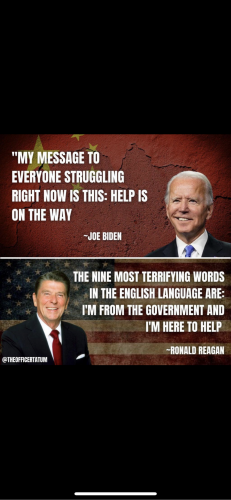 BIDEN-REGAN MEME