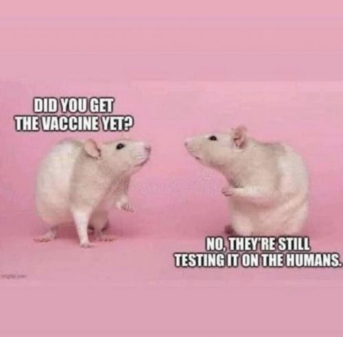 23:30:14 GMT-0700 (PDT).image