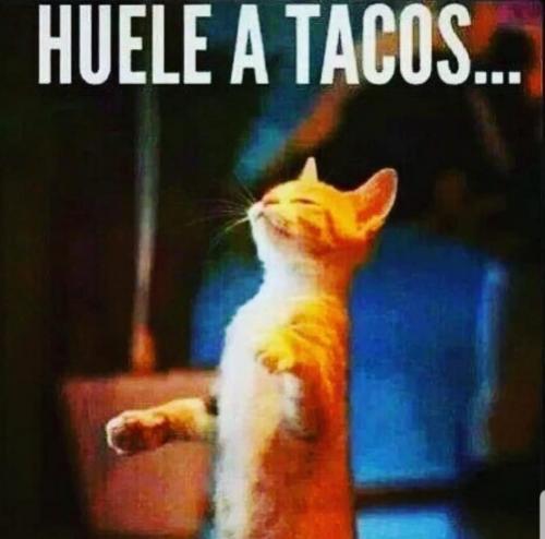 74677138_10220437092707506_3012910869425160192_o