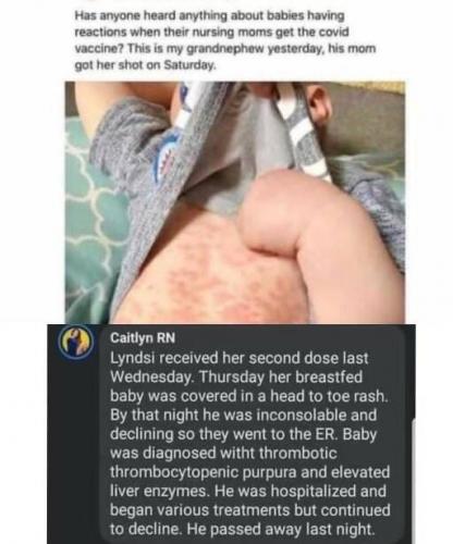 78D85F89-261D-4056-B063-09D82496E1EF