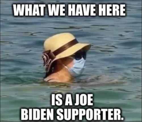 voters01