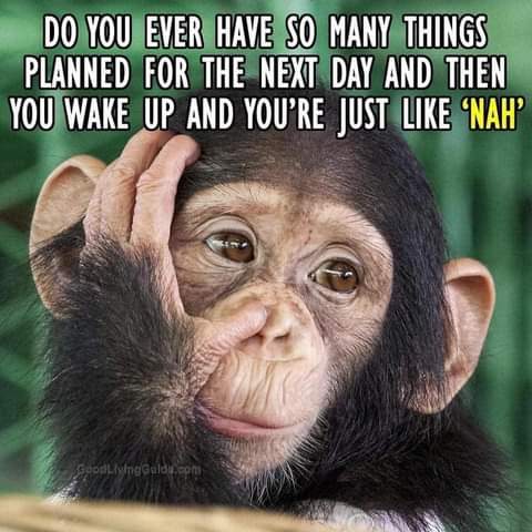 11:09:19 GMT-0700 (PDT)