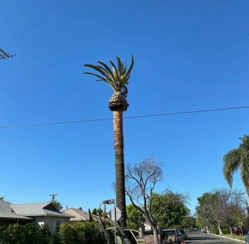 16:34:55 GMT-0700 (MST)