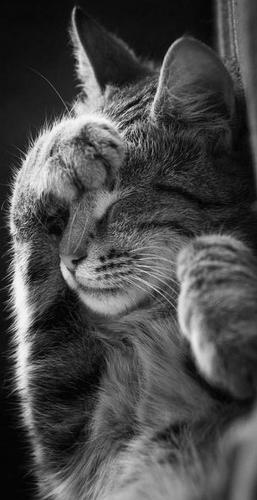 07:39:54 GMT-0500 (CDT)