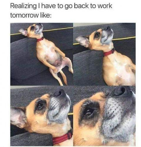 16:39:39 GMT-0400 (EDT)