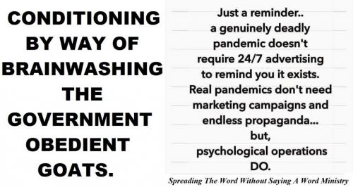 165930637_123707309718620_8432503530605369163_n