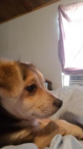 16:07:05 GMT-0400 (EDT)