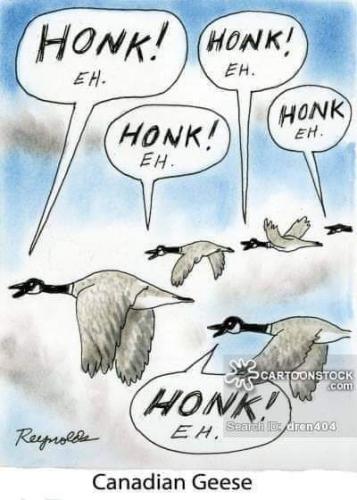 14:35:54 GMT-0700 (PDT)