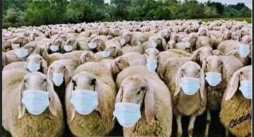 12:44:12 GMT+1000 (AEST)