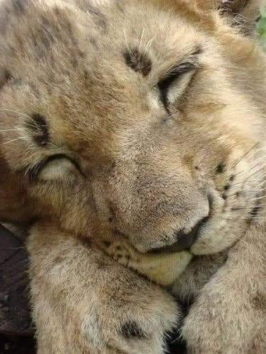 21:43:15 GMT-0500 (CDT)