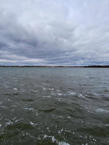 14:35:46 GMT-0500 (CDT)