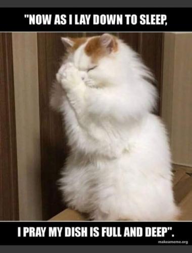 12:13:45 GMT-0700 (PDT)