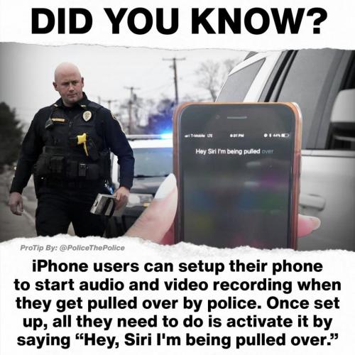 176268967_500377527958636_3223257340948720639_n