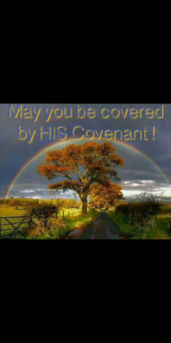 Screenshot_20200123-142103