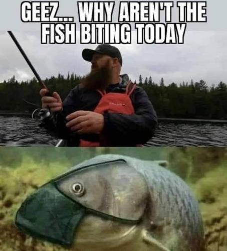 15:01:44 GMT-0400 (EDT)