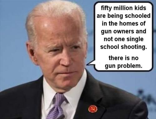 it was never a gun problem