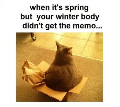 when its spring and your winter body didnt get that memo