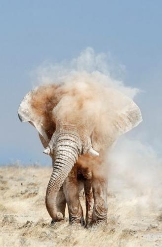 5578ecf4e4f2c577c29020d5f9fd8fc5