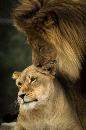 tumblr_82db476336ff0c3b04e295c62423cef8_5de01063_540