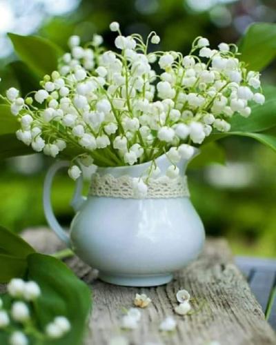 08:11:20 GMT-0500 (CDT)