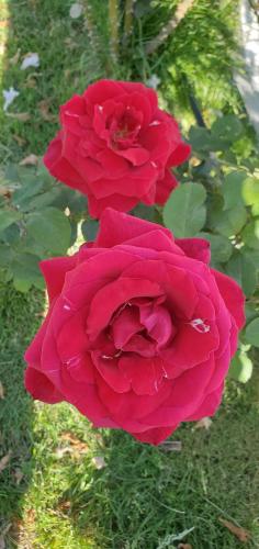 17:54:52 GMT-0700 (PDT)