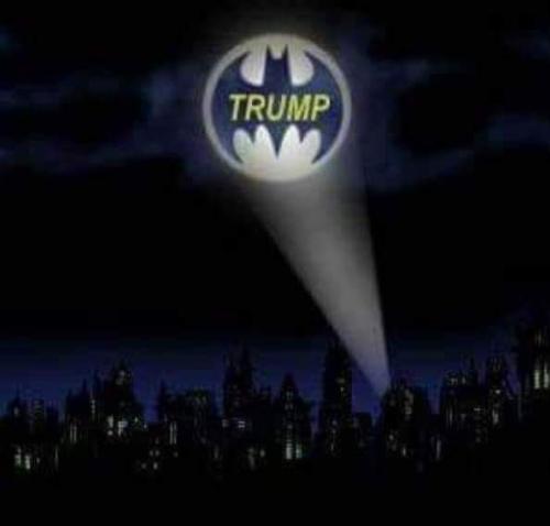 69505232_105043464217947_1730665090627141632_n