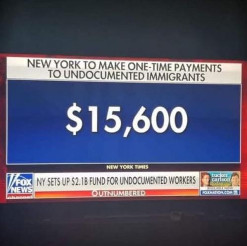 illegal immigration245