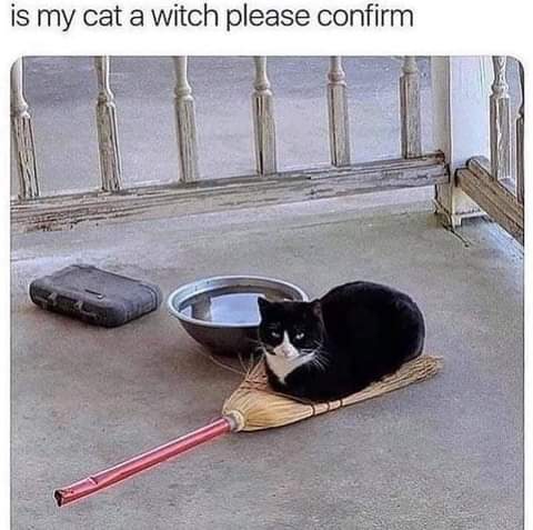 21:32:06 GMT-0700 (PDT)