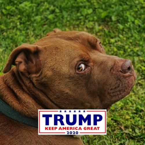 84554999_118571249700864_3071058035053953024_o