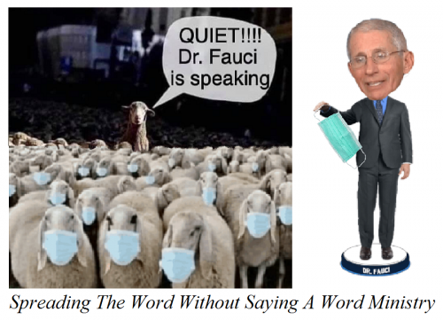 169469160_10159112391165270_8706576295136983249_n