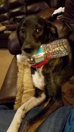 14:07:42 GMT-0400 (EDT)