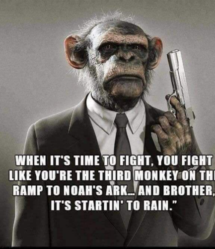 16:37:25 GMT-0400 (EDT)