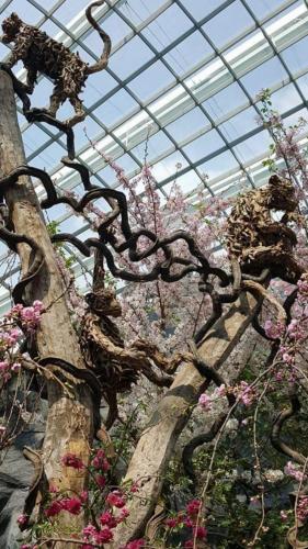 16:10:20 GMT-0500 (CDT)