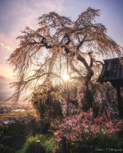 174182540_3678909125552351_3938136772527631944_n