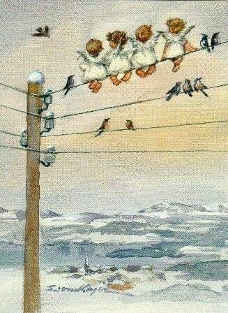 81249003_2719817318083457_6720122362097827840_n