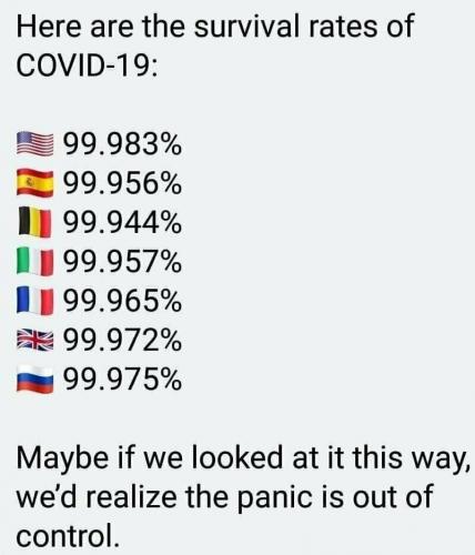 Tumblr_l_169166048855312