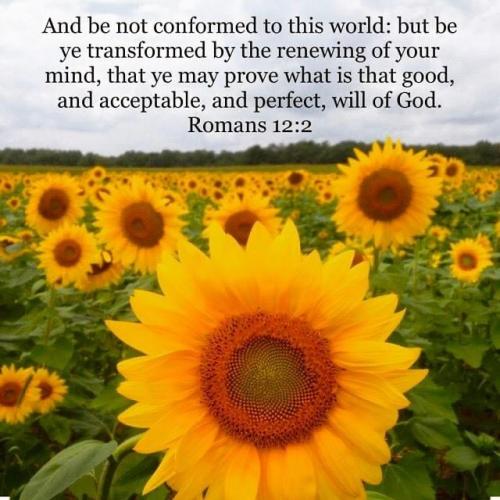 18:38:33 GMT-0700 (PDT).image