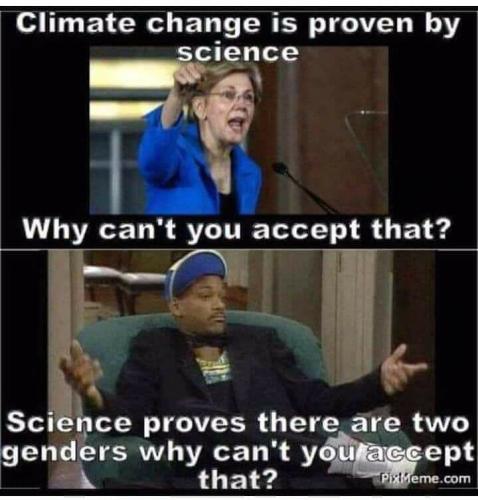 73215878_153022029251732_4871134504468611072_n