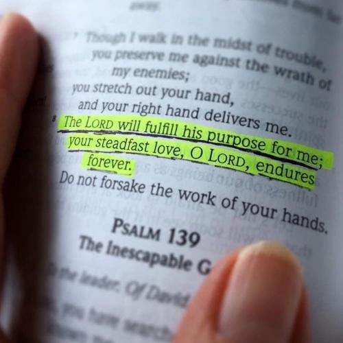 b246466fa6f7c87710fa72ca4b34e137