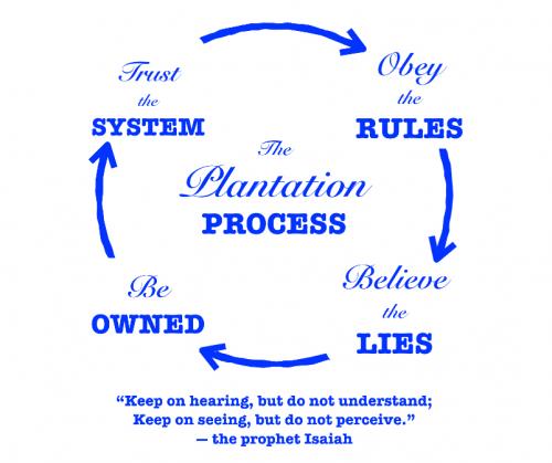 Plantation Process