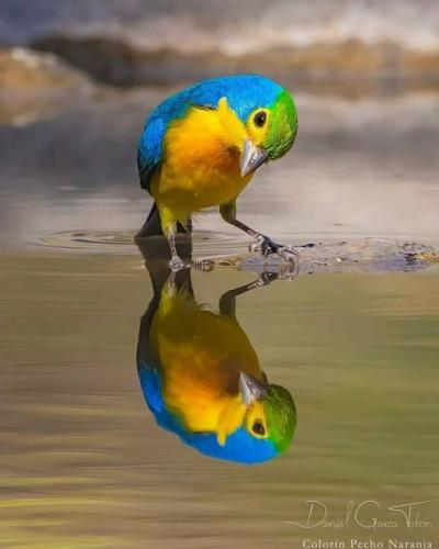 175461197_1849290198570517_3382411709815604298_n