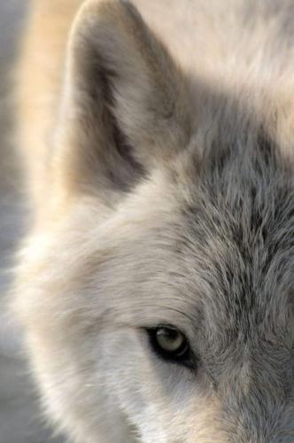 16:48:47 GMT-0500 (CDT)