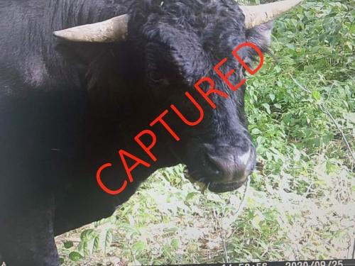 18:34:34 GMT-0400 (EDT)