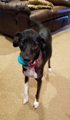 14:07:42 GMT-0400 (EDT)