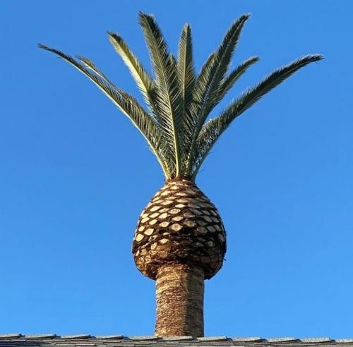 16:34:55 GMT-0700 (MST)