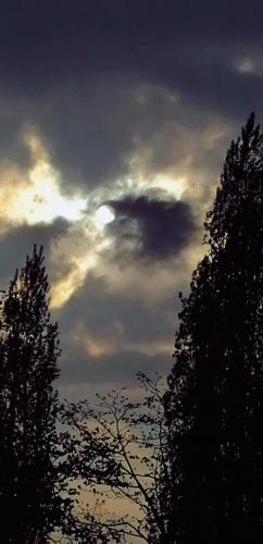 20:51:41 GMT+0200 (CEST)