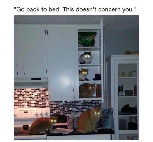 10:11:39 GMT-0500 (CDT)